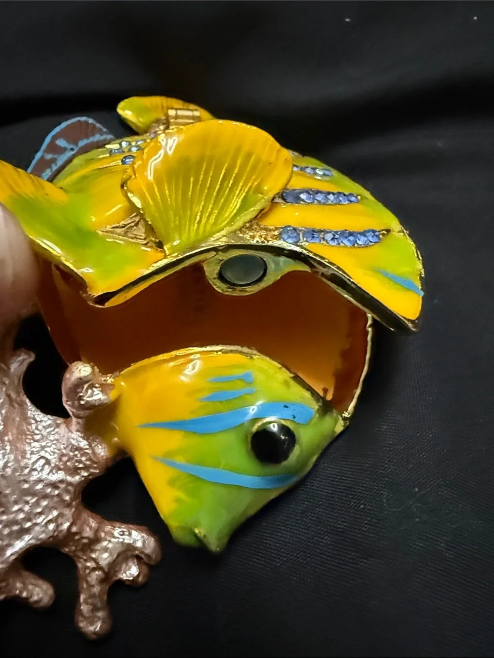 Tropical‎ Fish Figurine trinket box